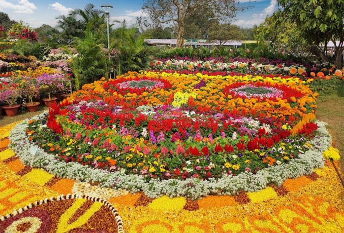 Flower Show